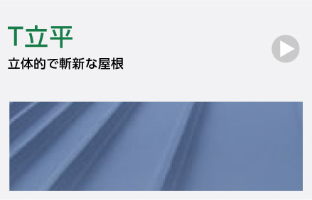 T立平